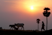 IIP Online Student Photography